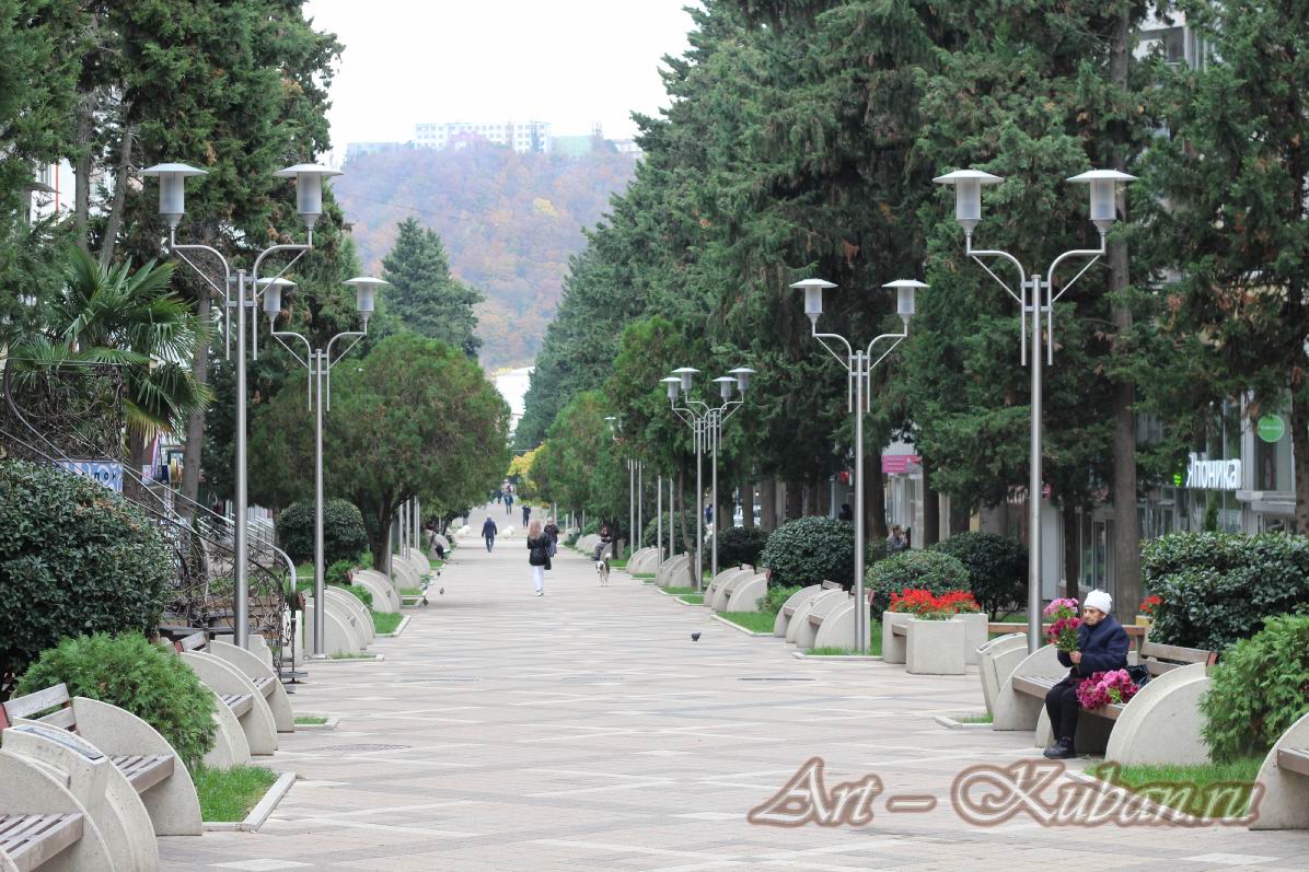 ��. ������ ��������. �������, �����������, �������, �����, ����� 2021 �. ������.
���� � 11. 7 ������ 2021 �. 