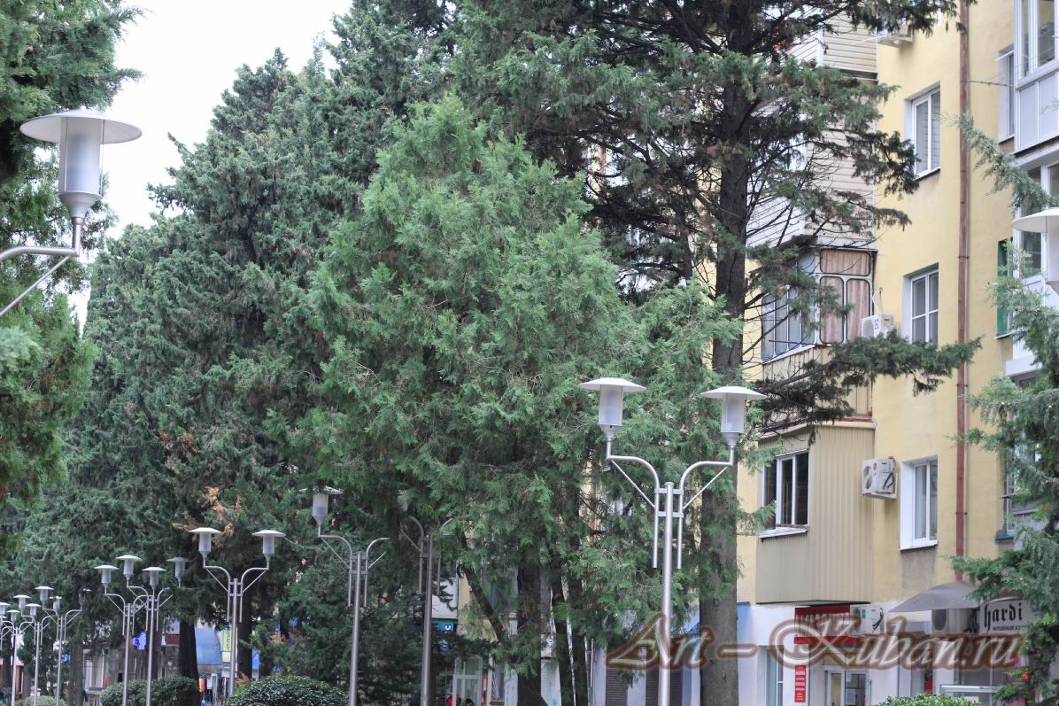 ��. ������ ��������. �������, �����������, �������, �����, ����� 2021 �. ������.
���� � 14. 7 ������ 2021 �. 