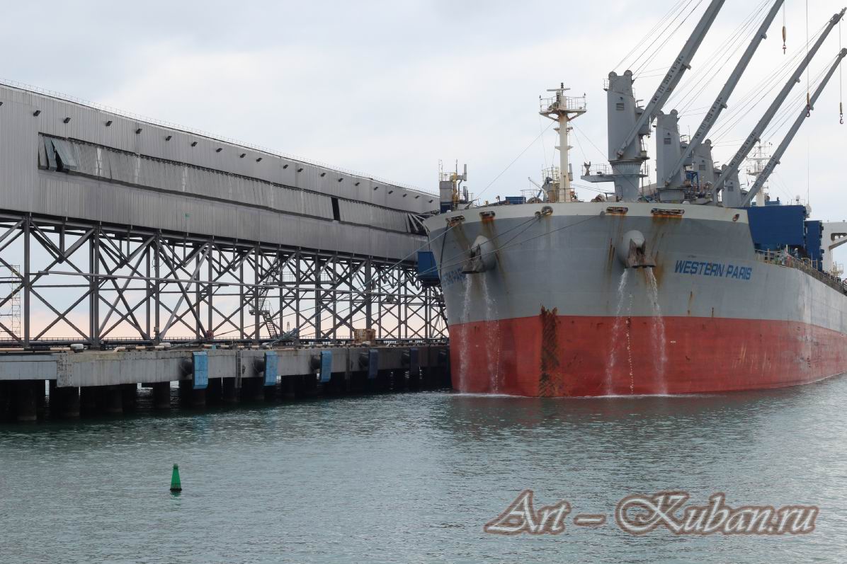 ������� ������������� �����. �������, �����������, �������, �����, ����� 2021 �. ������.
���� � 18. 7 ������ 2021 �. 