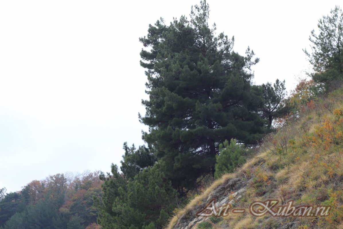 �������, �����������, �������, �����, ����� 2021 �. ������.
���� � 28. 7 ������ 2021 �. 