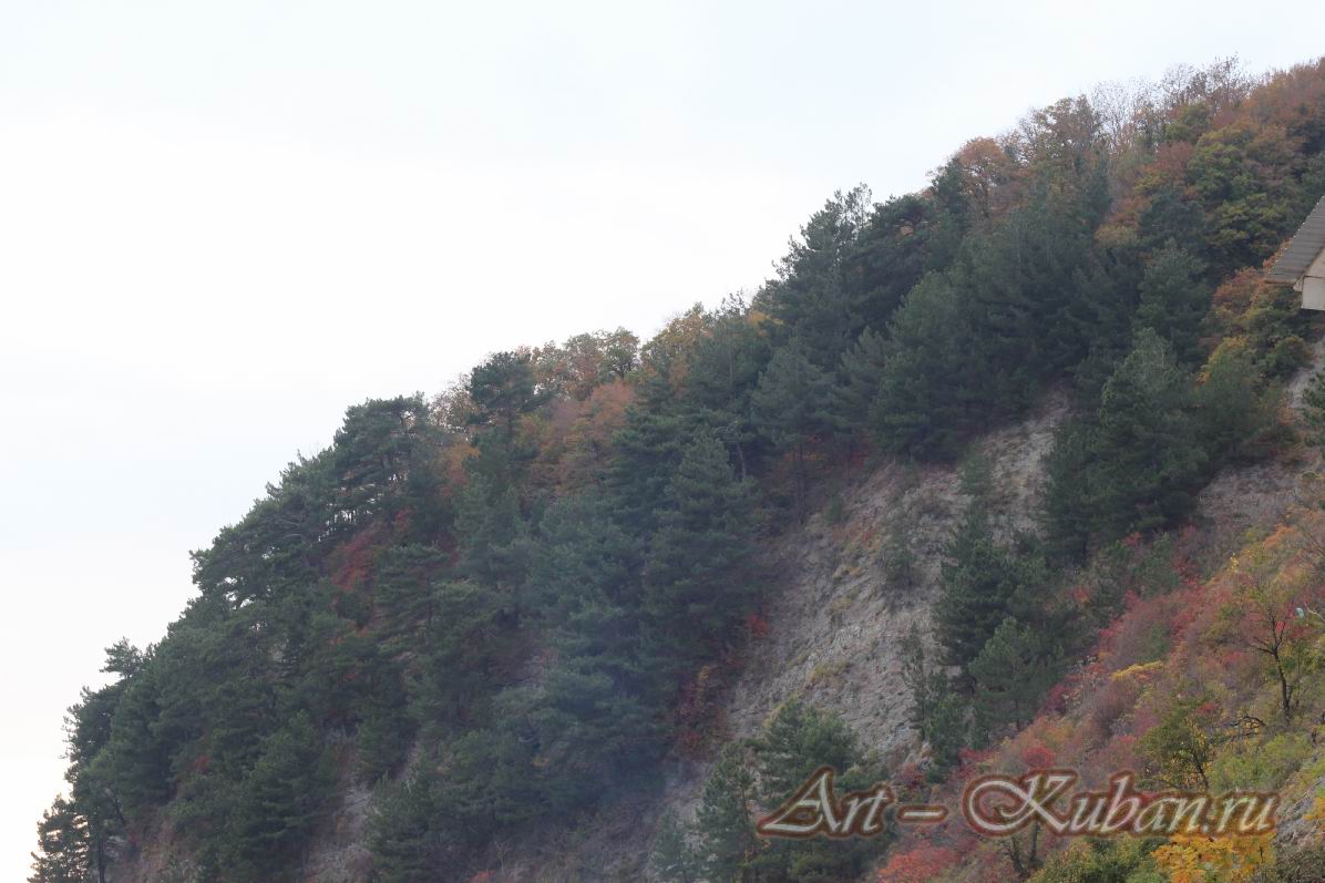 �������, �����������, �������, �����, ����� 2021 �. ������.
���� � 30. 7 ������ 2021 �. 