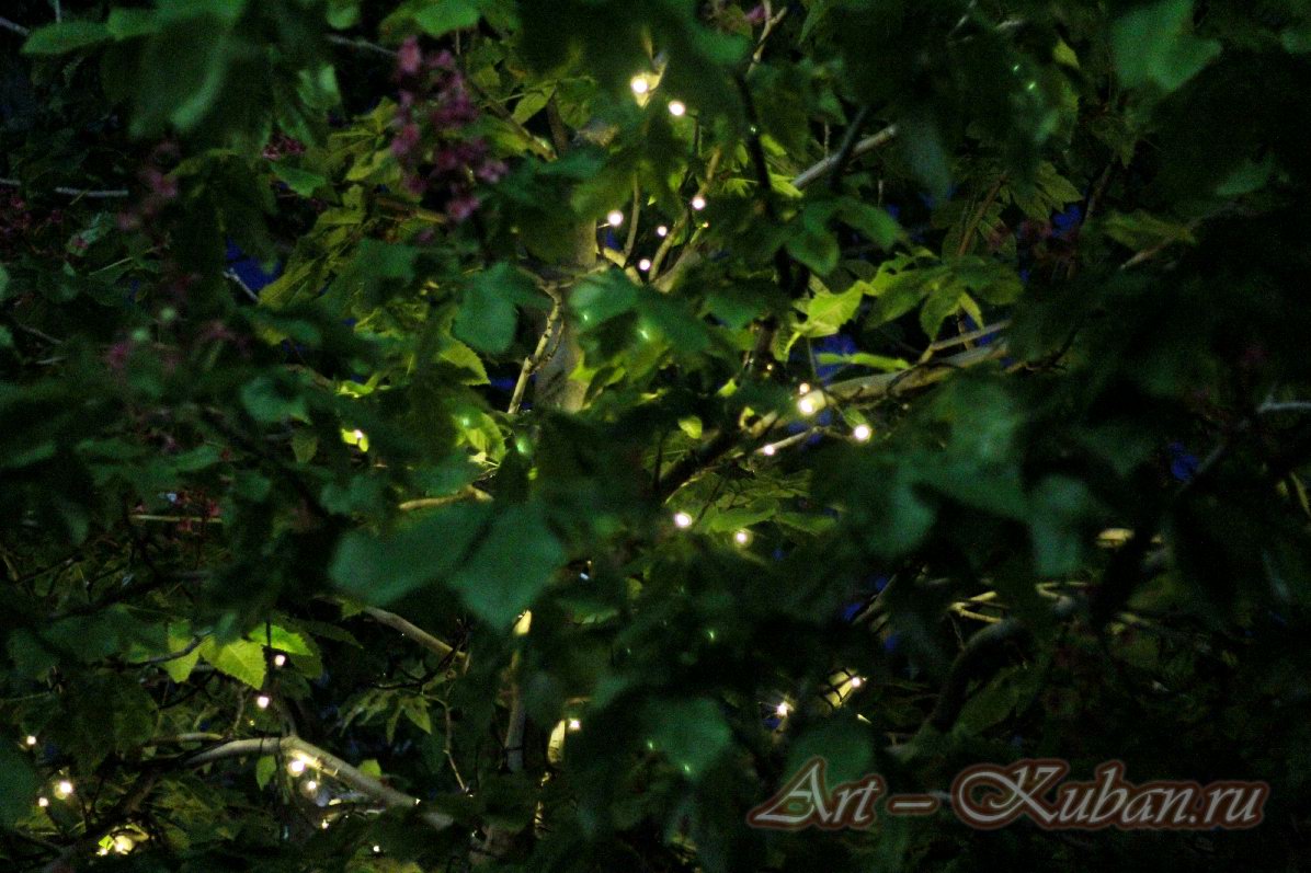 ����, �������, ������, �����, ����� 2022 �. ������������.
���� � 30. 27 ��� 2022 �. 