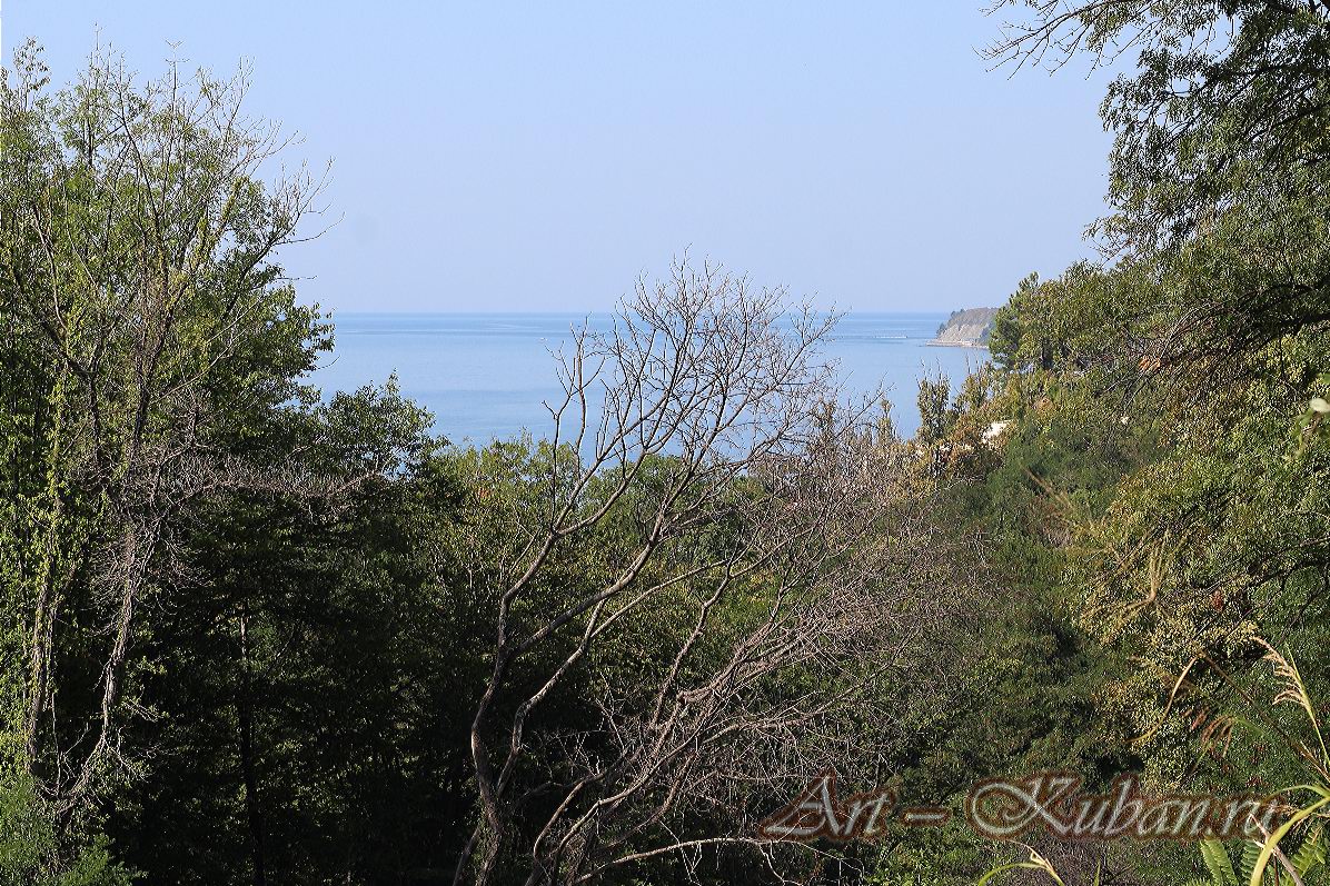 ��� �� ׸���� ���� � ����. ����, �������, ������, �����, ����� 2020 ���. ��������.
���� � 2. 17 �������� 2020 �. 