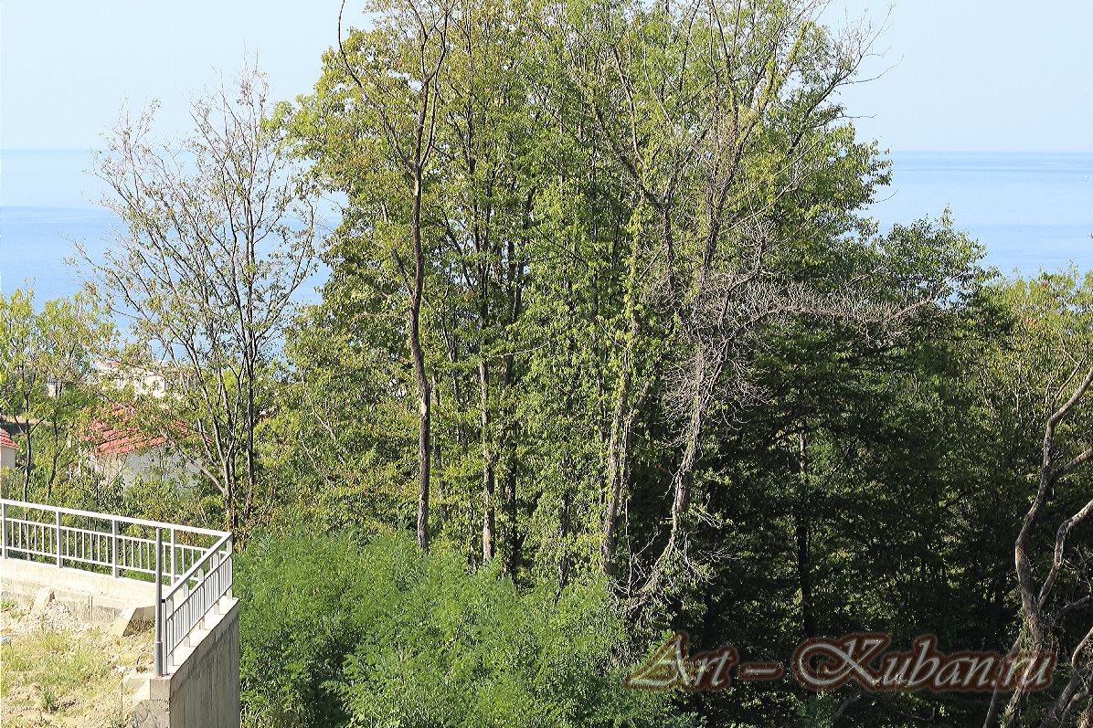 ��� �� ׸���� ���� � ����. ����, �������, ������, �����, ����� 2020 ���. ��������.
���� � 3. 17 �������� 2020 �. 