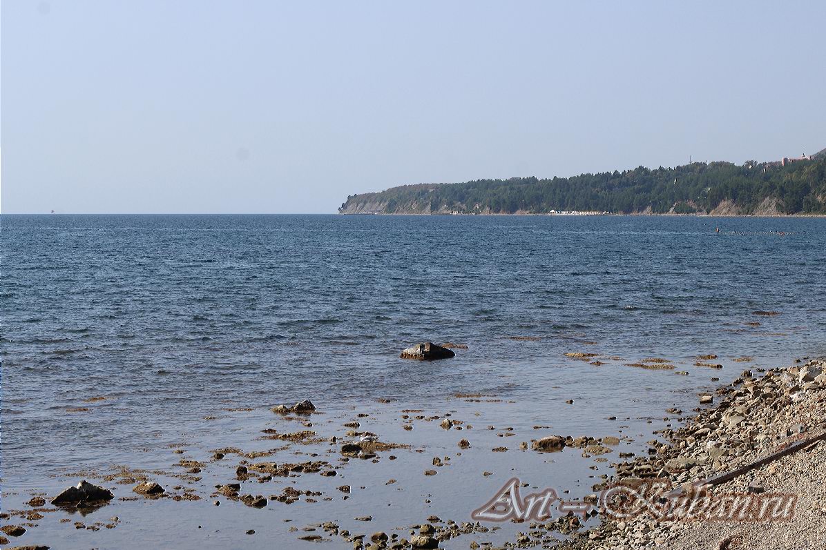 ׸���� ����. ����, �������, ������, �����, ����� 2020 ���. ��������.
���� � 6. 17 �������� 2020 �. 