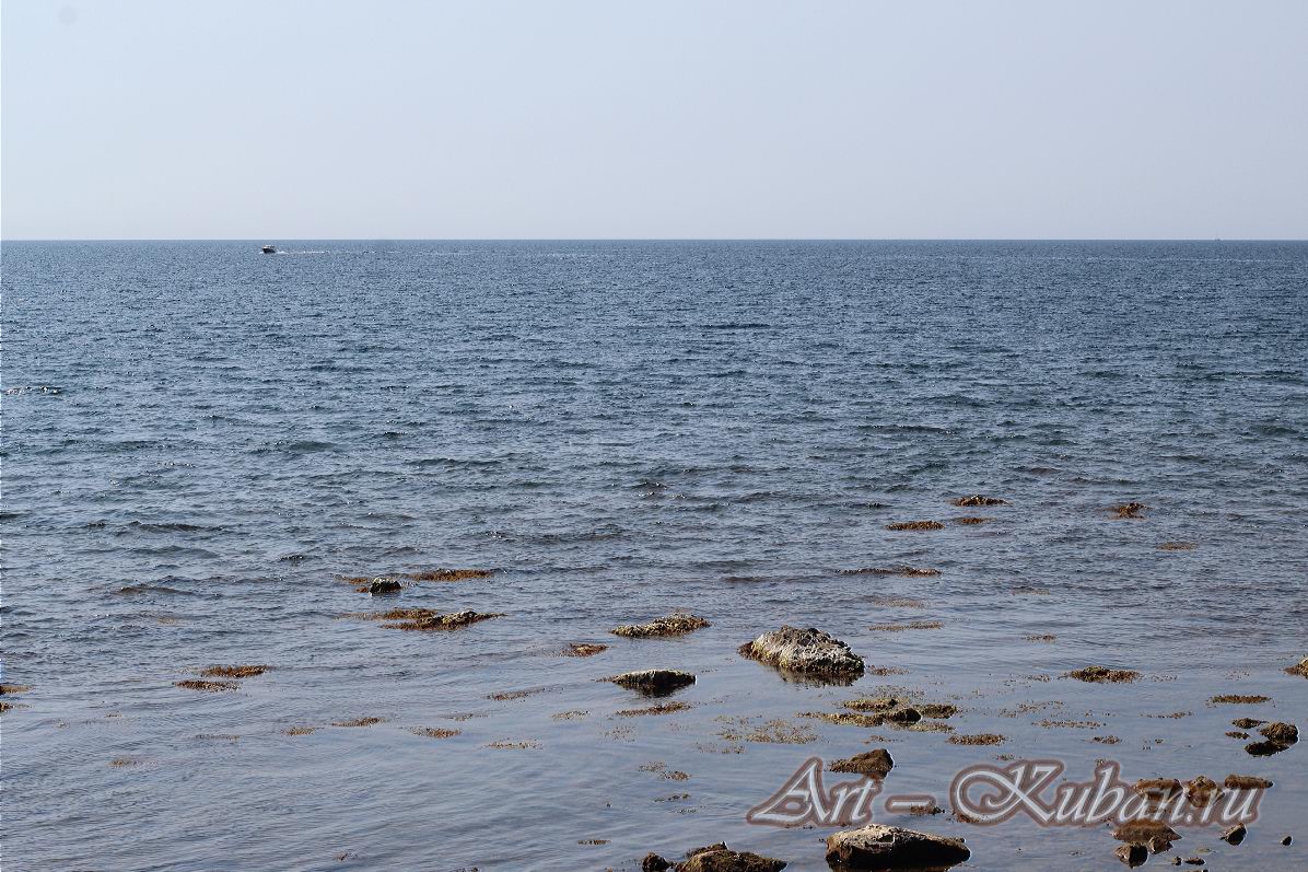 ׸���� ����. ����, �������, ������, �����, ����� 2020 ���. ��������.
���� � 7. 17 �������� 2020 �. 