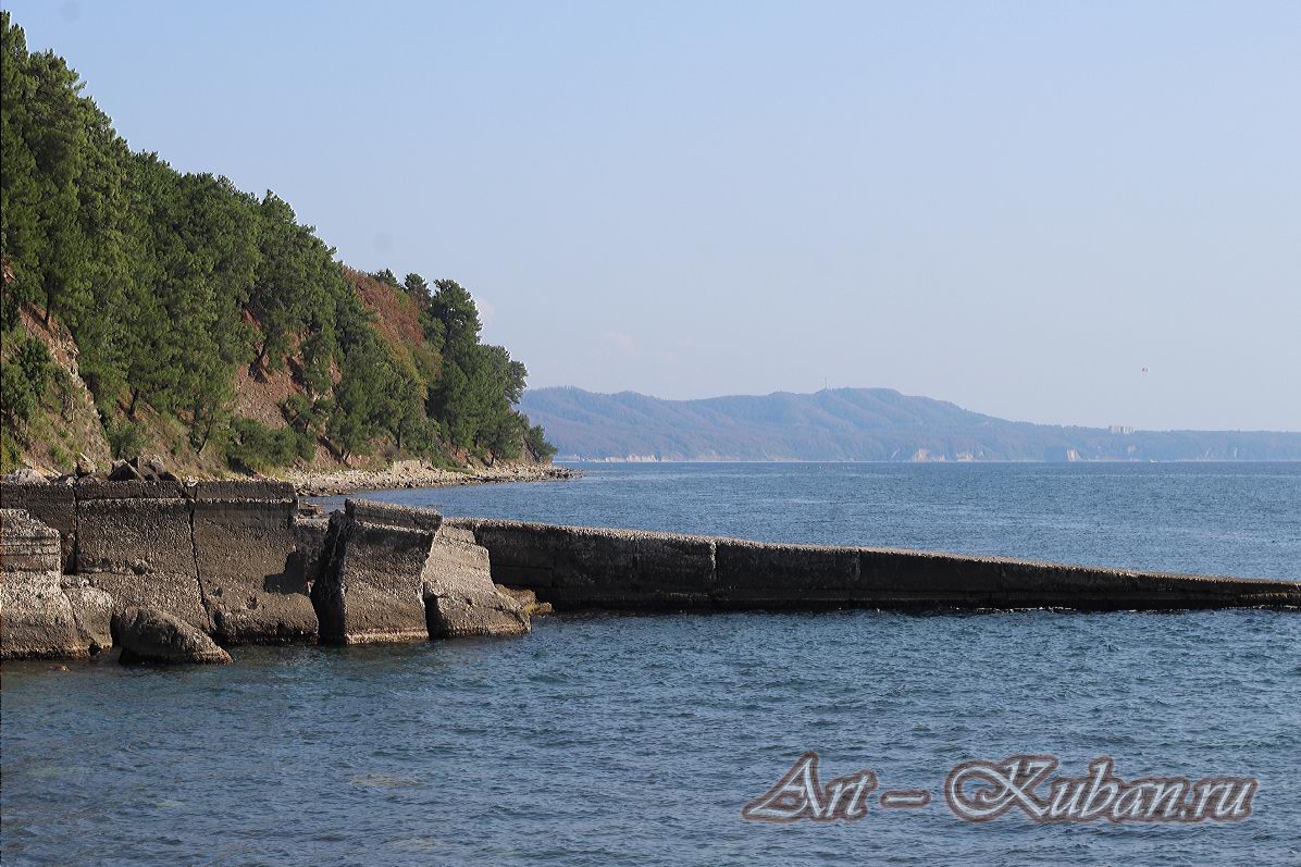 ׸���� ����. ����, �������, ������, �����, ����� 2020 ���. ��������.
���� � 8. 17 �������� 2020 �. 