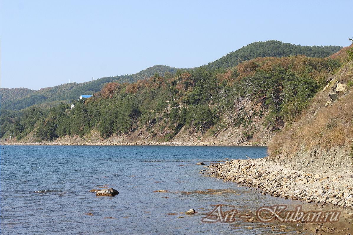 ׸���� ����. ����, �������, ������, �����, ����� 2020 ���. ��������.
���� � 10. 17 �������� 2020 �. 