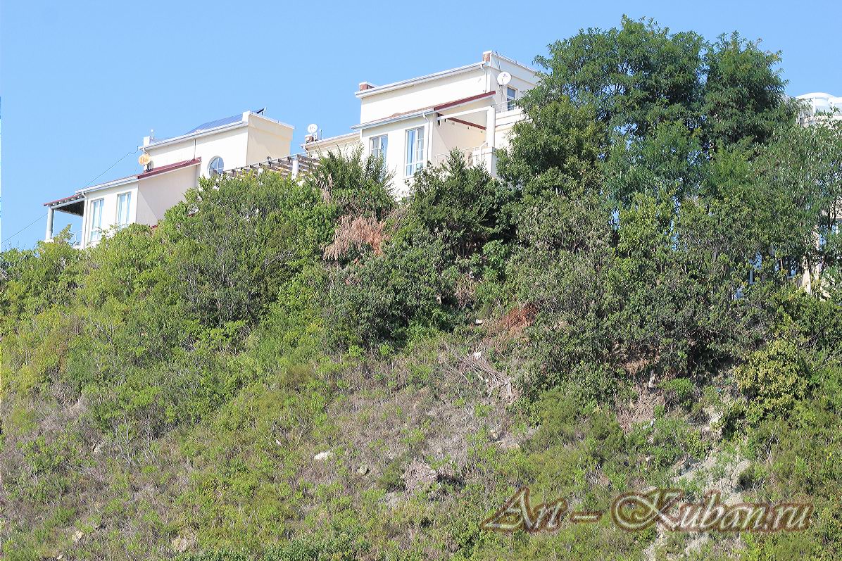 ����, �������, ������, �����, ����� 2020 ���. ��������.
���� � 11. 17 �������� 2020 �. 