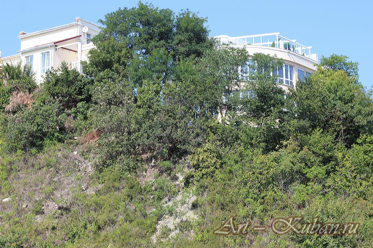 ����, �������, ������, �����, ����� 2020 ���. ��������.
���� � 12. 17 �������� 2020 �. 