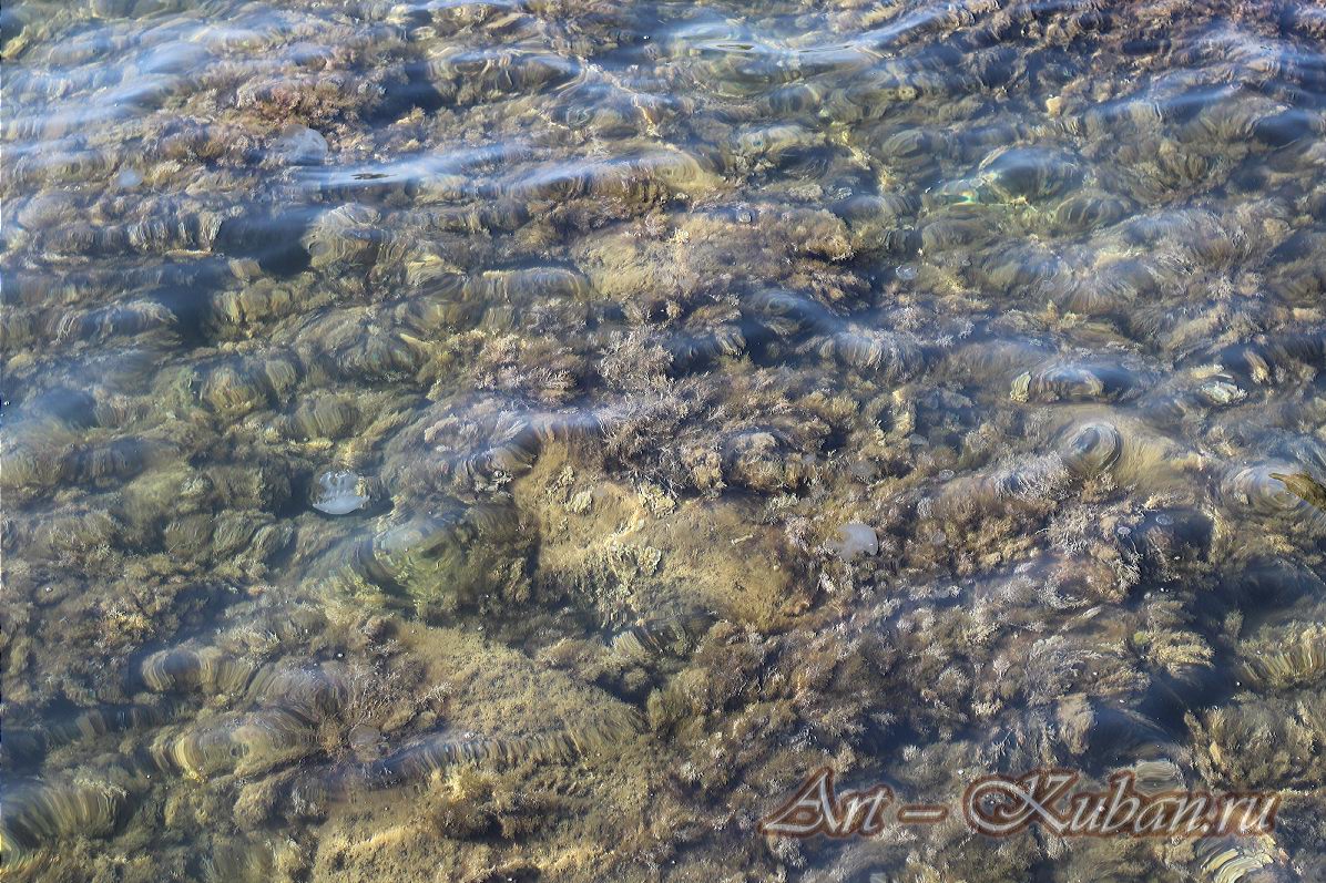 ׸���� ����. ����, �������, ������, �����, ����� 2020 ���. ��������.
���� � 13. 17 �������� 2020 �. 