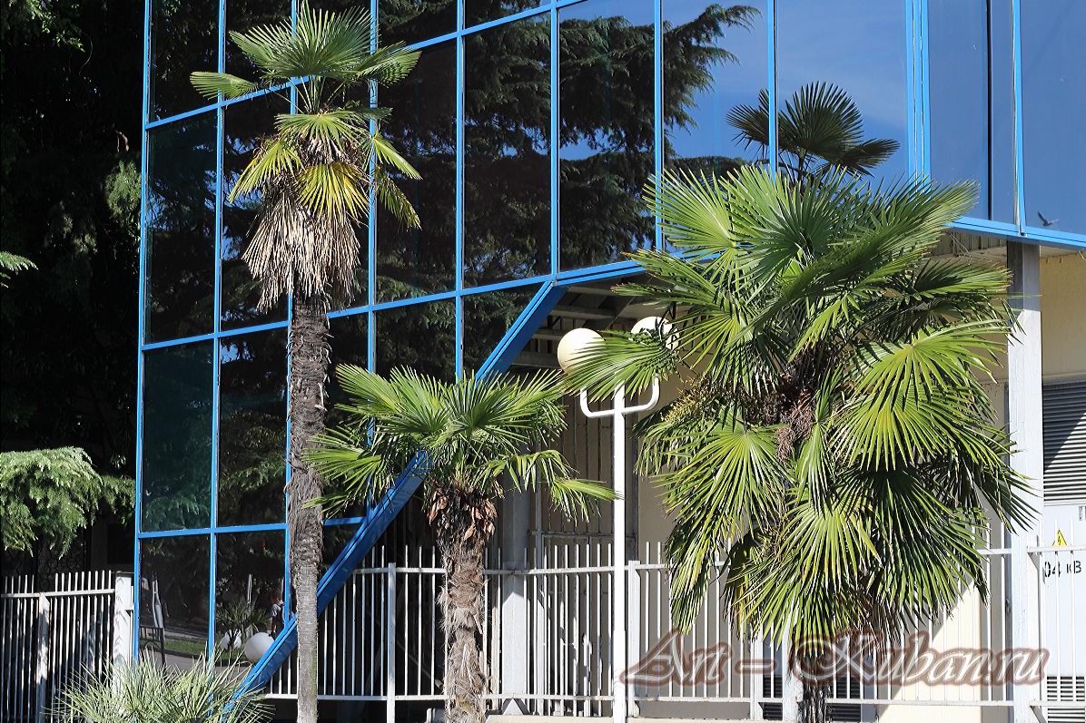 ������. ����, �������, ������, �����, ���� 2020 �. ������.
���� � 22. ������ 2020 �. 