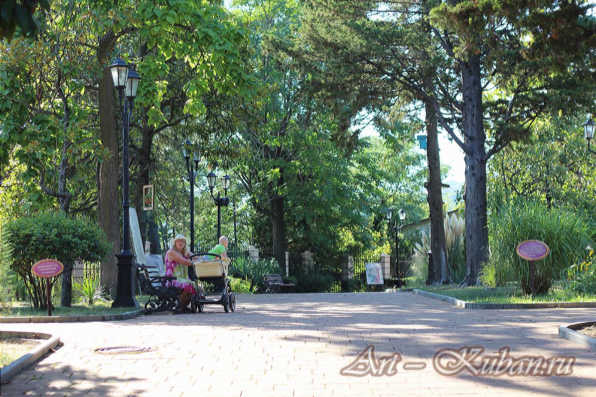 ����, �������, ������, �����, ���� 2020 �. ������.
���� � 25. ������ 2020 �. 