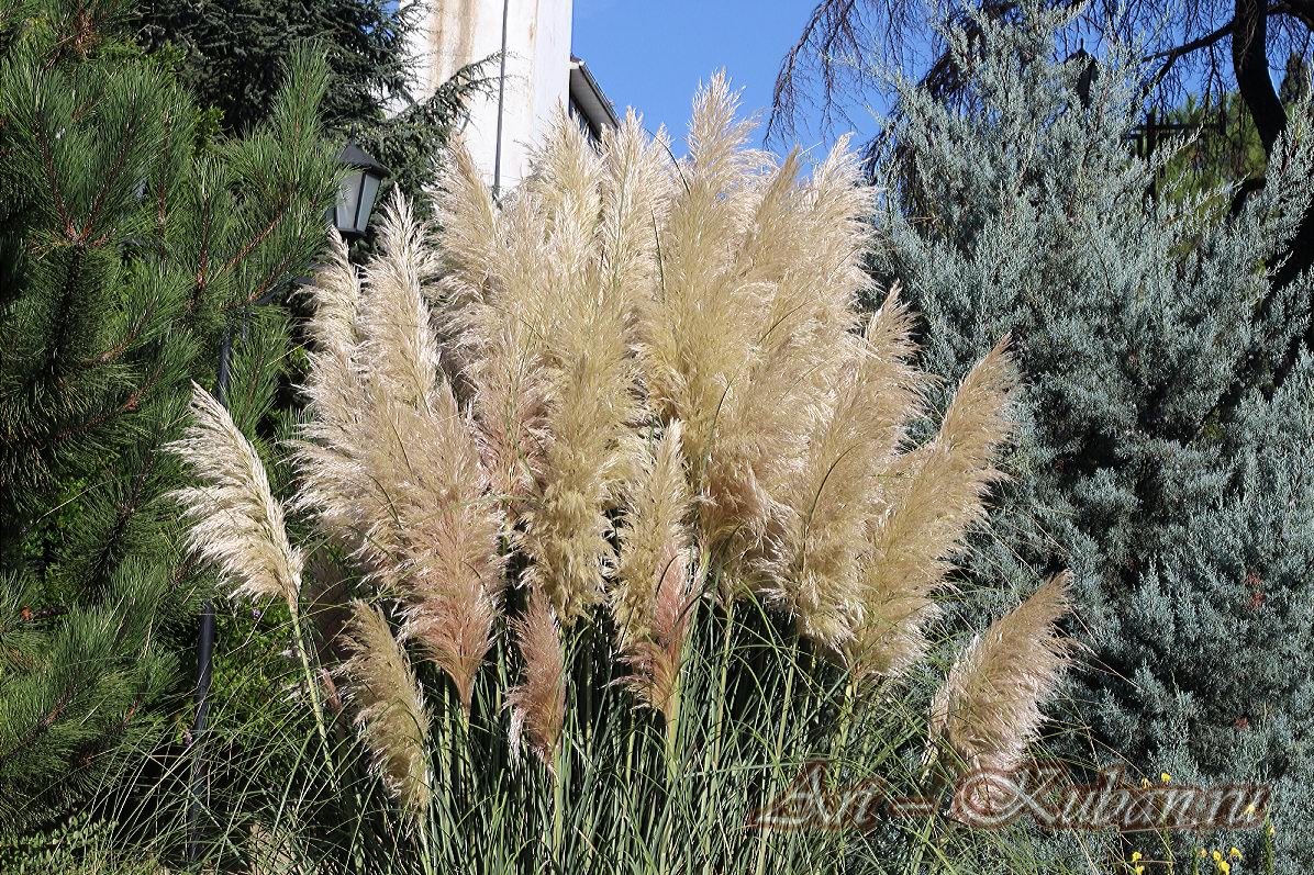 ����, �������, ������, �����, ���� 2020 �. ������.
���� � 28. ������ 2020 �. 