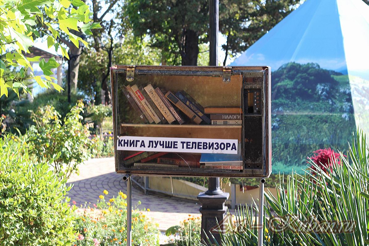 ����, �������, ������, �����, ���� 2020 �. ������.
���� � 29. ������ 2020 �. 