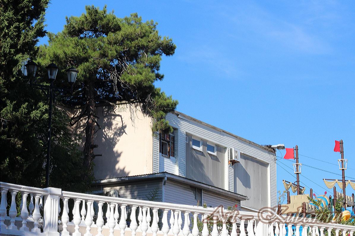 ����, �������, ������, �����, ���� 2020 �. ������.
���� � 37. ������ 2020 �. 