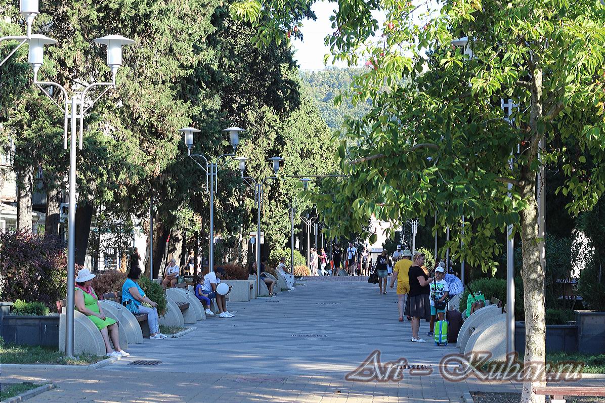 ����, �������, ������, �����, ���� 2020 �. ������.
���� � 44. ������ 2020 �. 