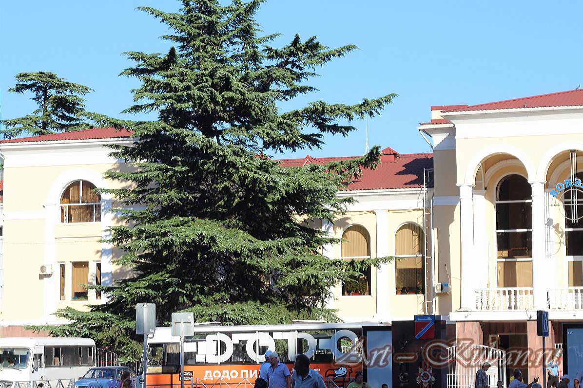 ��������������� ������. ����, �������, ������, �����, ���� 2020 �. ������.   ���� � 48. ������ 2020 �. 