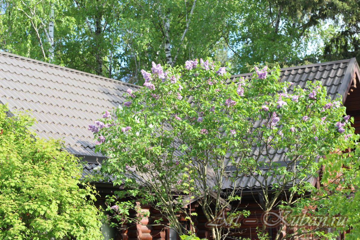 ������ � ��������� ����������. ����, �������, �������, �������, �����, �����, ������, �������, �����������, ����� 2023������������� ����, ������� �����. 
���� � 9. 23 ������ 2023 �. 