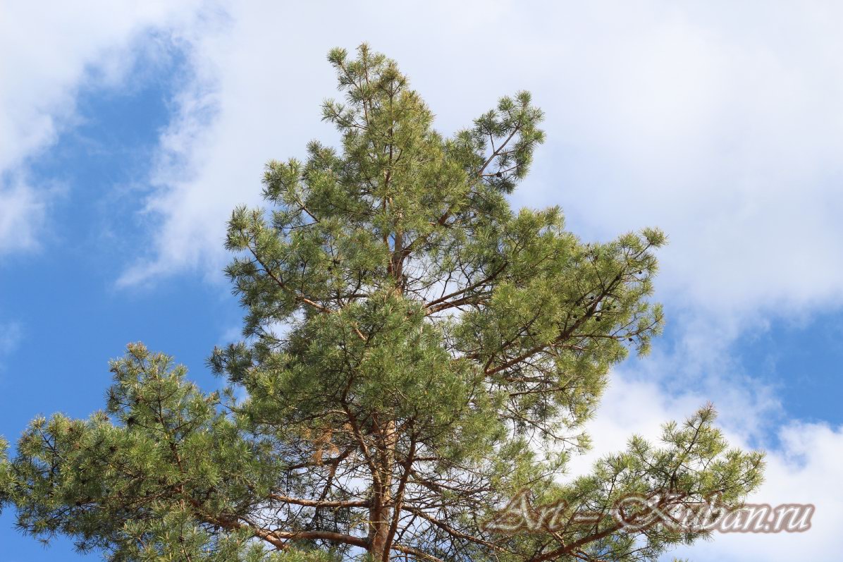 ��������� ����������. ����, �������, �������, �������, �����, �����, ������, �������, �����������, ����� 2023������������� ����, ������� �����. 
���� � 14. 23 ������ 2023 �. 