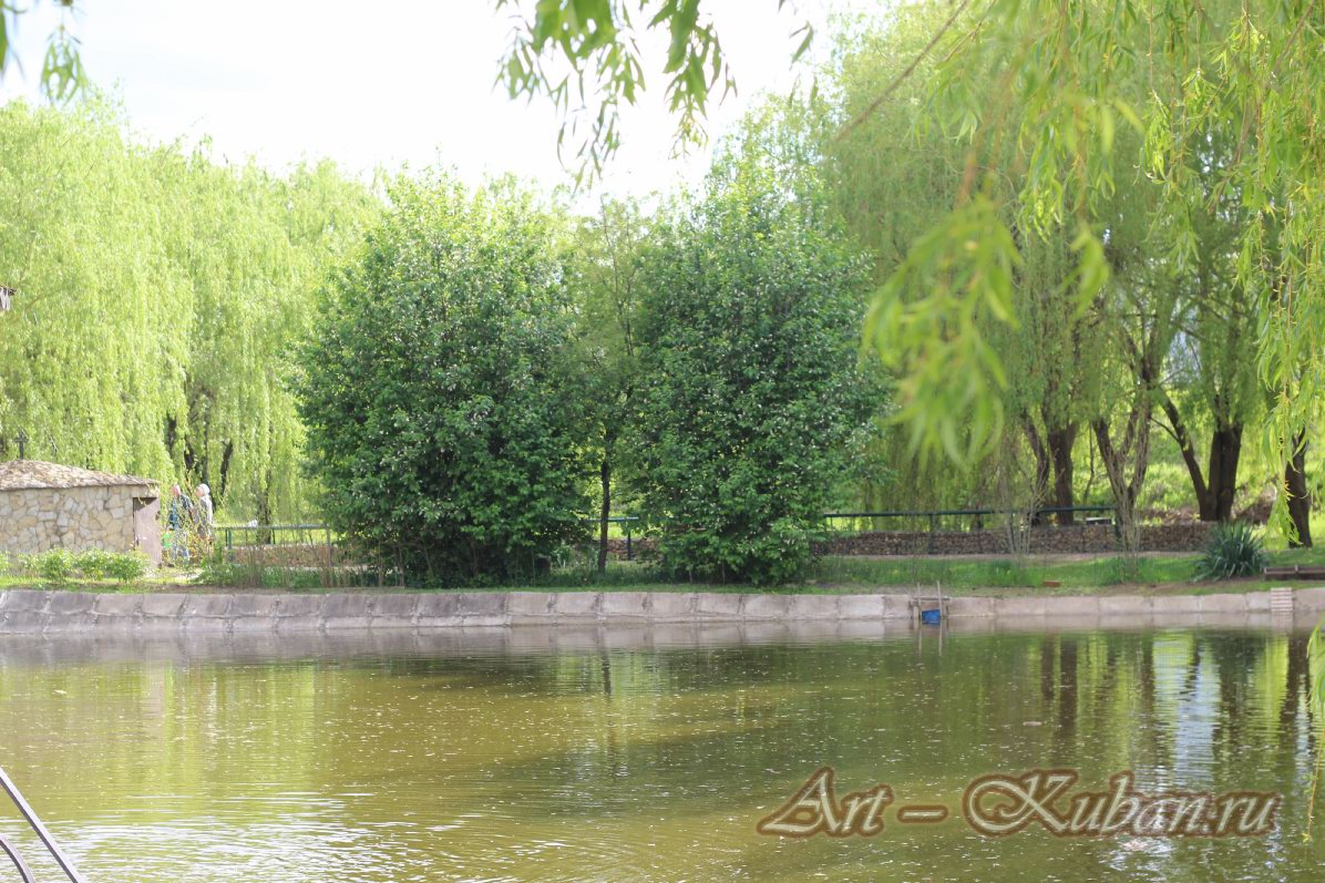 ���� �� ���������� ��������� ����������. ����, �������, �������, �������, �����, �����, ������, �������, �����������, ����� 2023������������� ����, ������� �����. 
���� � 17. 23 ������ 2023 �. 