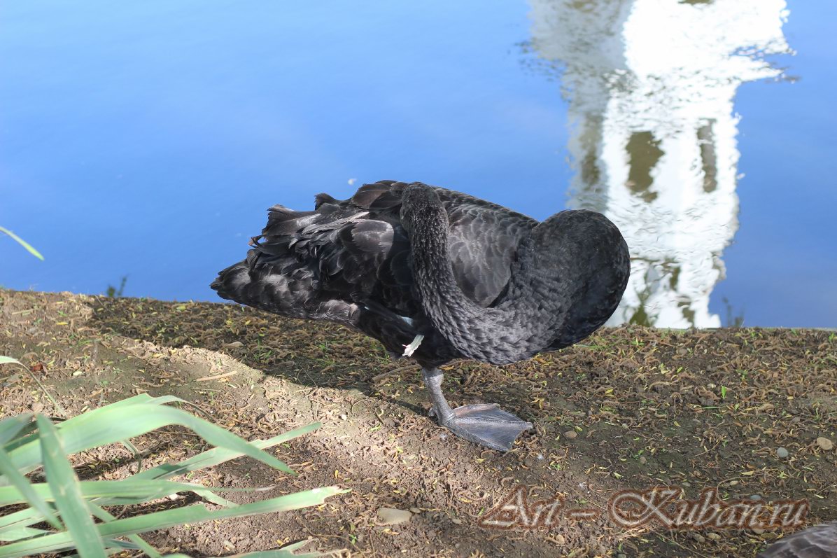 ���� � ��������� ����������. ����, �������, �������, �������, �����, �����, ������, �������, �����������, ����� 2023������������� ����, ������� �����. 
���� � 18. 23 ������ 2023 �. 