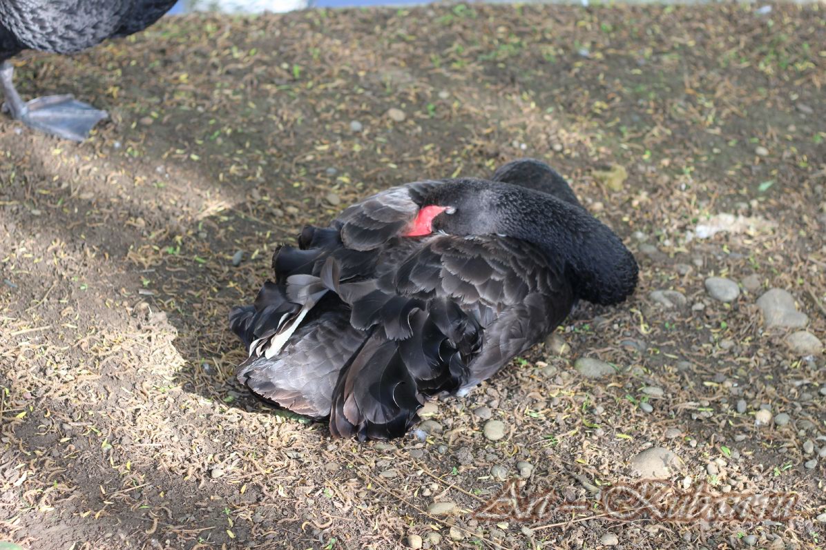 ���� � ��������� ����������. ����, �������, �������, �������, �����, �����, ������, �������, �����������, ����� 2023������������� ����, ������� �����. 
���� � 19. 23 ������ 2023 �. 