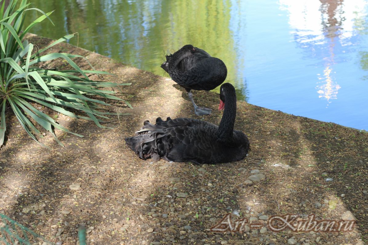 ���� � ��������� ����������. ����, �������, �������, �������, �����, �����, ������, �������, �����������, ����� 2023������������� ����, ������� �����. 
���� � 20. 23 ������ 2023 �. 