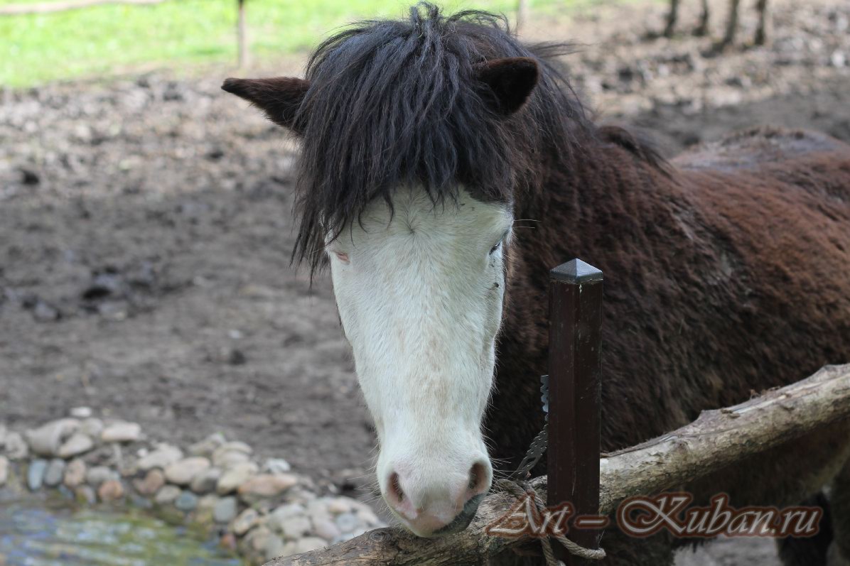 ���� � ��������� ����������. ����, �������, �������, �������, �����, �����, ������, �������, �����������, ����� 2023������������� ����, ������� �����. 
���� � 24. 23 ������ 2023 �. 