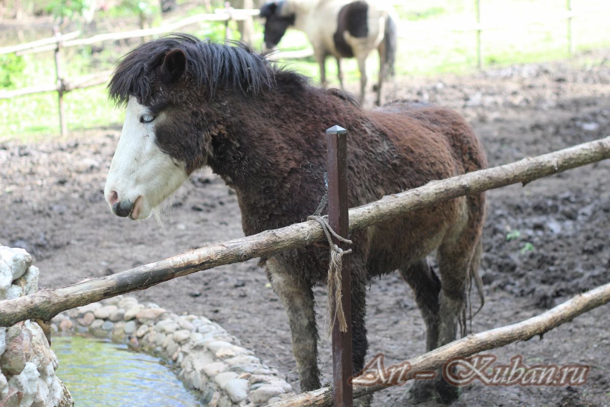 ���� � ��������� ����������. ����, �������, �������, �������, �����, �����, ������, �������, �����������, ����� 2023������������� ����, ������� �����. 
���� � 25. 23 ������ 2023 �. 