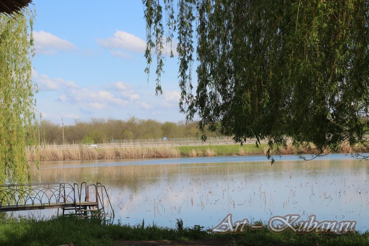 ���� ������. ��� �� ������ �-4 �����. ����, �������, �������, �������, �����, �����, ������, �������, �����������, ����� 2023������������� ����, ������� �����. 
���� � 26. 23 ������ 2023 �. 