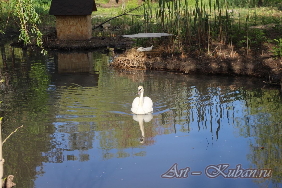 ���� � ��������� ����������. ����, �������, �������, �������, �����, �����, ������, �������, �����������, ����� 2023������������� ����, ������� �����. 
���� � 31. 23 ������ 2023 �. 