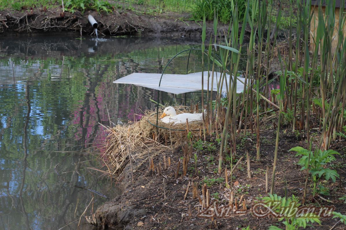 ���� � ��������� ����������. ����, �������, �������, �������, �����, �����, ������, �������, �����������, ����� 2023������������� ����, ������� �����. 
���� � 33. 23 ������ 2023 �. 