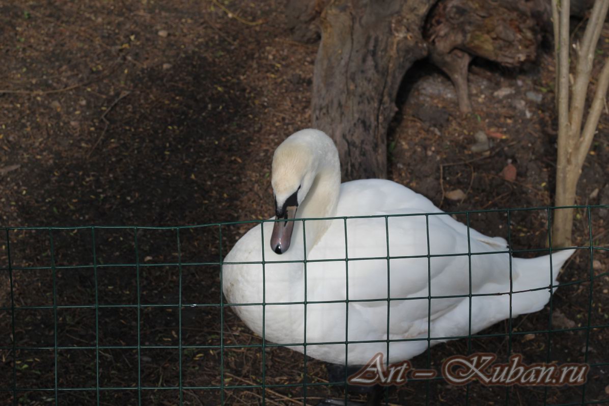 ���� � ��������� ����������. ����, �������, �������, �������, �����, �����, ������, �������, �����������, ����� 2023������������� ����, ������� �����. 
���� � 35. 23 ������ 2023 �. 