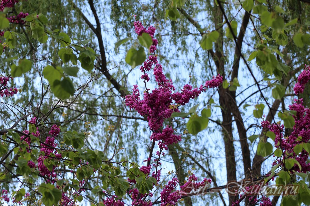 ������ � ��������� ����������. ����, �������, �������, �������, �����, �����, ������, �������, �����������, ����� 2023������������� ����, ������� �����. 
���� � 36. 23 ������ 2023 �. 