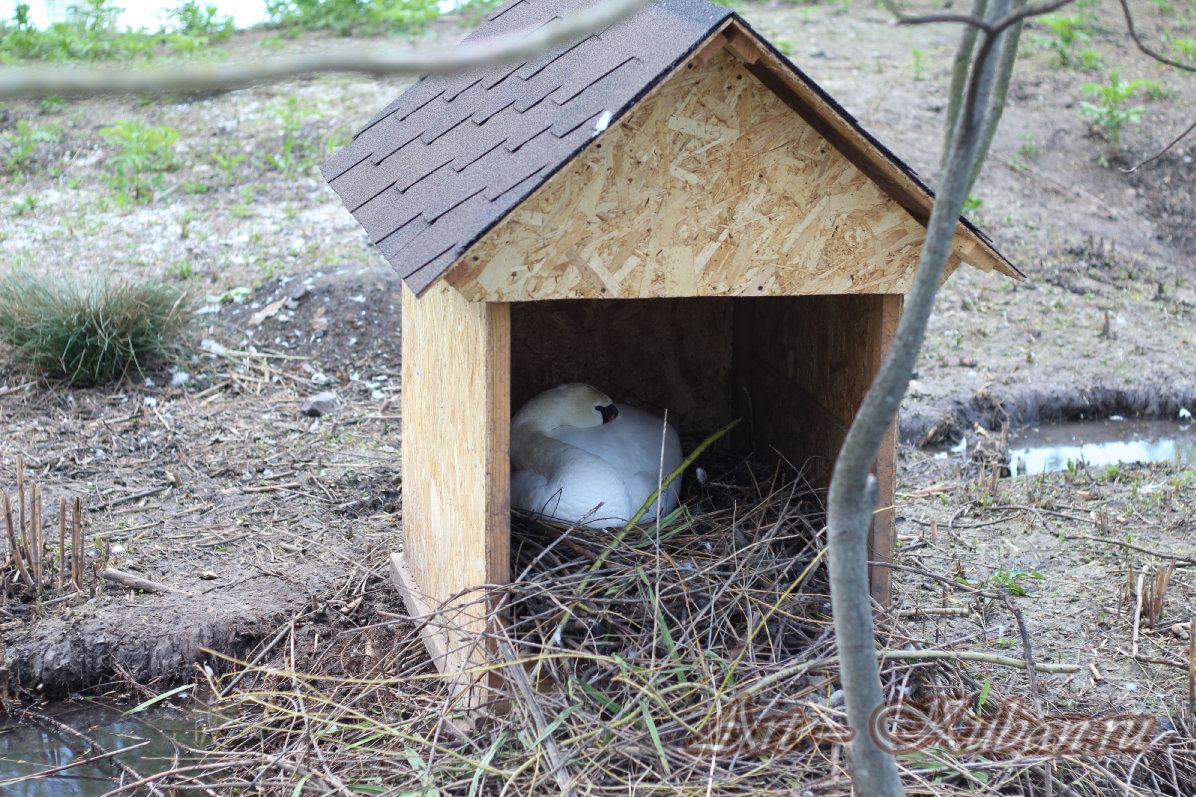 ���� � ��������� ����������. ����, �������, �������, �������, �����, �����, ������, �������, �����������, ����� 2023������������� ����, ������� �����. 
���� � 37. 23 ������ 2023 �. 