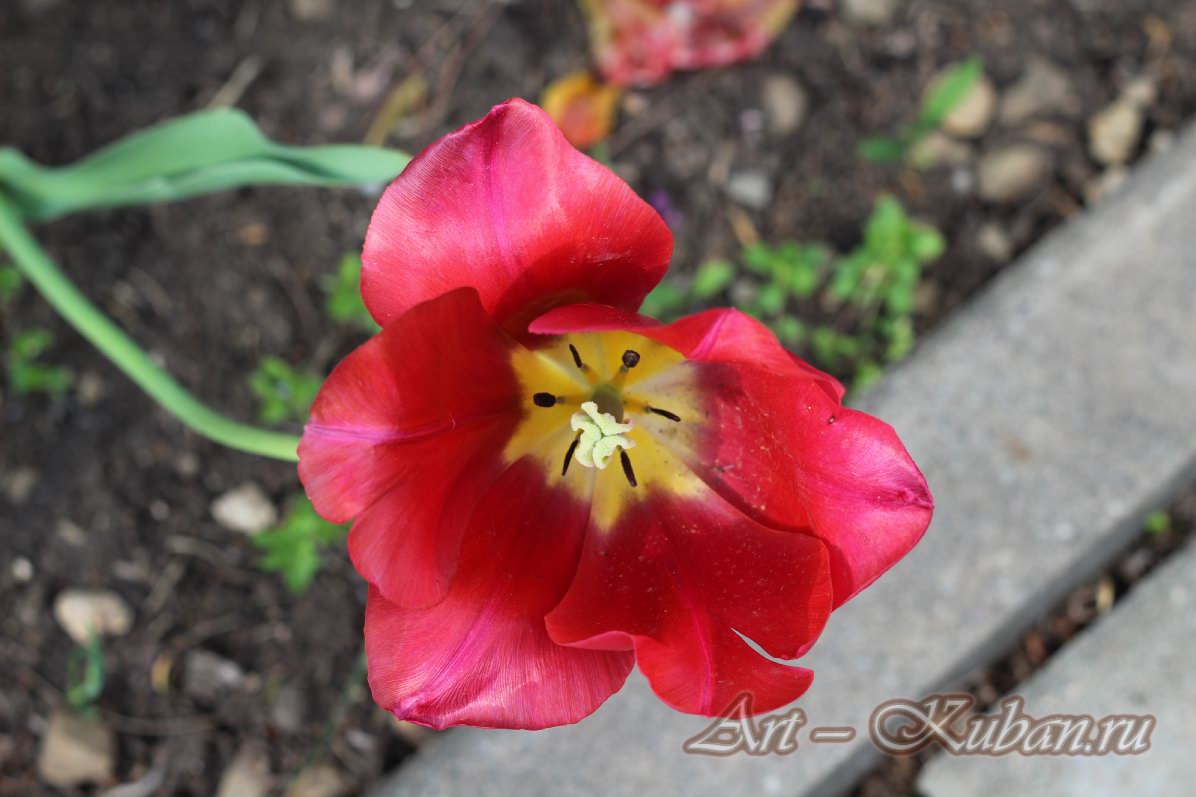 ���������� ��������� ����������. ����, �������, �������, �������, �����, �����, ������, �������, �����������, ����� 2023������������� ����, ������� �����. 
���� � 39. 23 ������ 2023 �. 