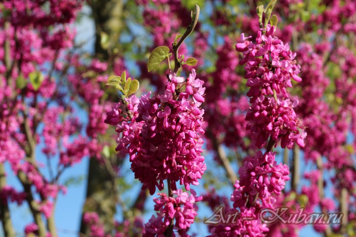 ������ � ��������� ����������. ����, �������, �������, �������, �����, �����, ������, �������, �����������, ����� 2023������������� ����, ������� �����. 
���� � 40. 23 ������ 2023 �. 