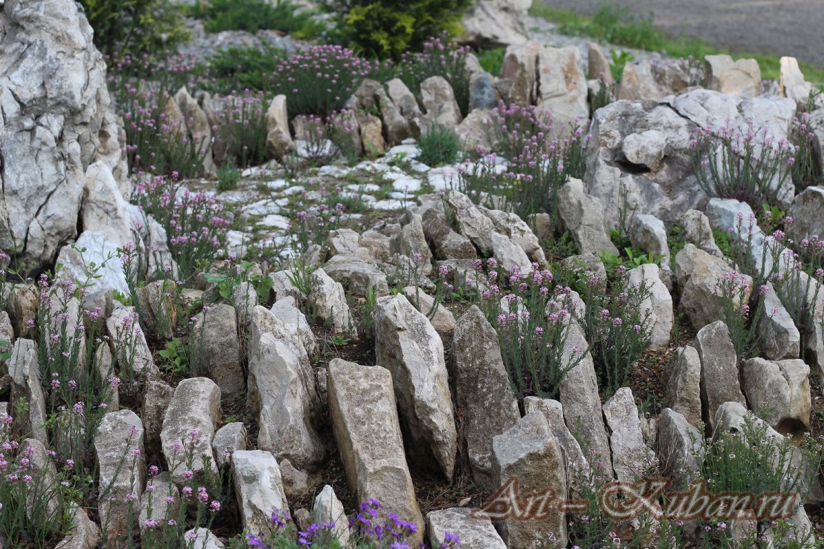 ���������� ��������� ����������. ����, �������, �������, �������, �����, �����, ������, �������, �����������, ����� 2023������������� ����, ������� �����. 
���� � 42. 23 ������ 2023 �. 