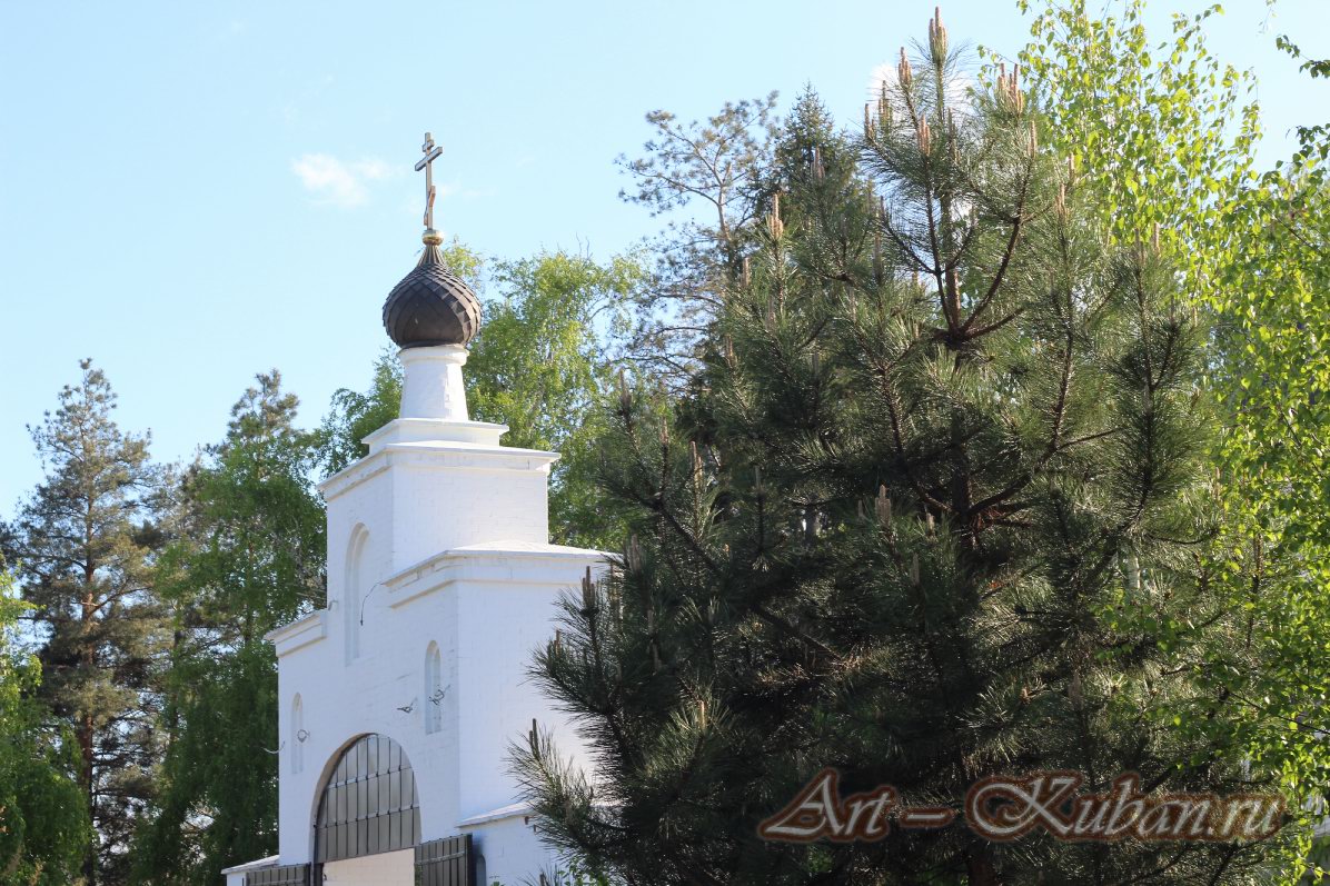 ���������� ��������� ����������. ����, �������, �������, �������, �����, �����, ������, �������, �����������, ����� 2023������������� ����, ������� �����. 
���� � 49. 23 ������ 2023 �. 