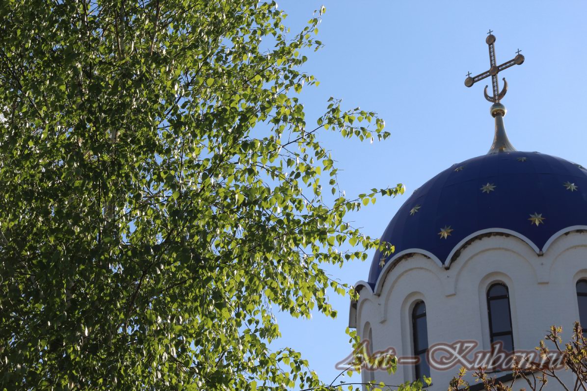 ��������� ����������. ����, �������, �������, �������, �����, �����, ������, �������, �����������, ����� 2023������������� ����, ������� �����. 
���� � 50. 23 ������ 2023 �. 