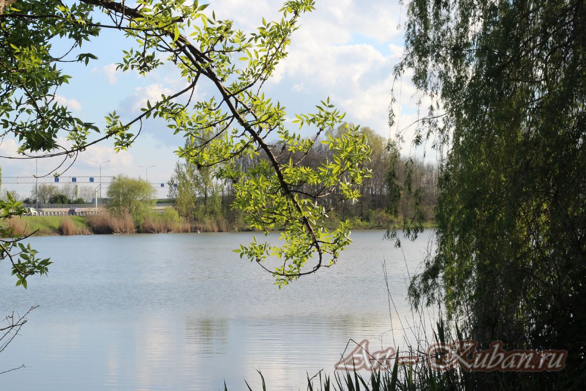 ���� ������. ��� �� ������ �-4 �����. ����, �������, �������, �������, �����, �����, ������, �������, �����������, ����� 2023������������� ����, ������� �����. 
���� � 52. 23 ������ 2023 �. 