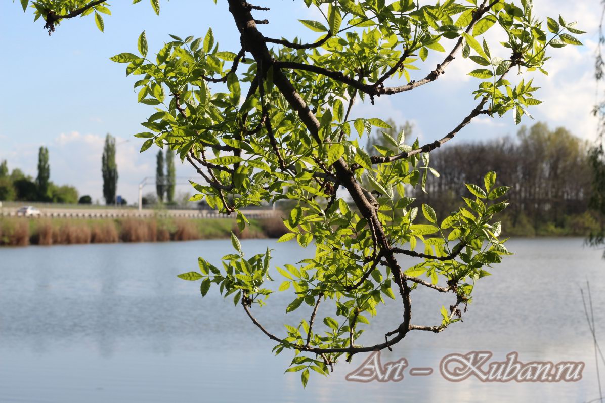 ���� ������. ��� �� ������ �-4 �����. ����, �������, �������, �������, �����, �����, ������, �������, �����������, ����� 2023������������� ����, ������� �����. 
���� � 53. 23 ������ 2023 �. 