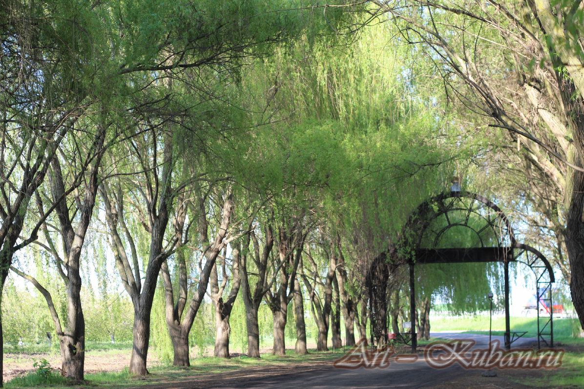 ����� �� ��������� ����������. ����, �������, �������, �������, �����, �����, ������, �������, �����������, ����� 2023������������� ����, ������� �����. 
���� � 54. 23 ������ 2023 �. 