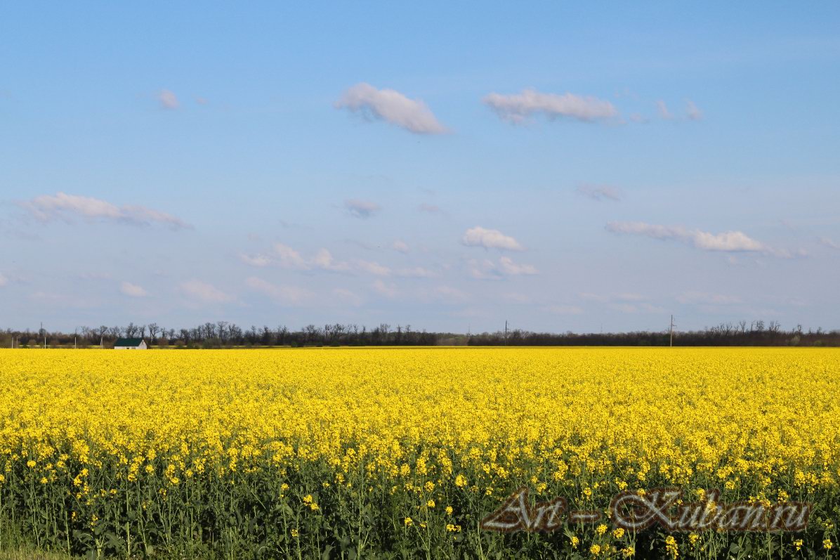 �������� ����. ����, �������, �������, �������, �����, �����, ������, �������, �����������, ����� 2023������������� ����, ������� �����. 
���� � 55. 23 ������ 2023 �. 