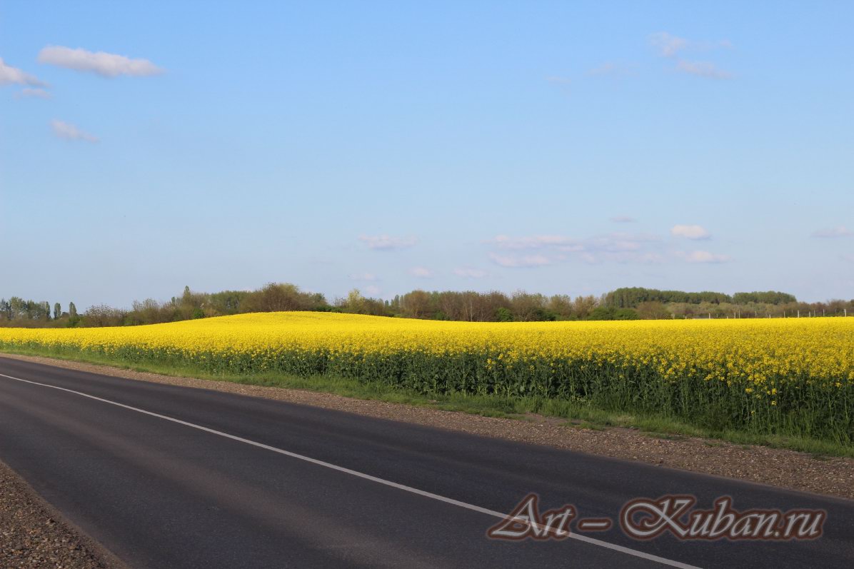 �������� ����. ����, �������, �������, �������, �����, �����, ������, �������, �����������, ����� 2023������������� ����, ������� �����. 
���� � 56. 23 ������ 2023 �. 