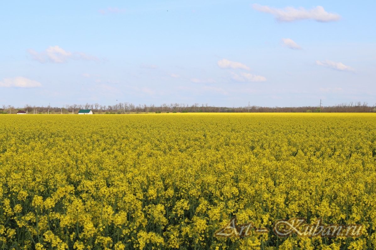 �������� ����. ����, �������, �������, �������, �����, �����, ������, �������, �����������, ����� 2023������������� ����, ������� �����. 
���� � 57. 23 ������ 2023 �. 