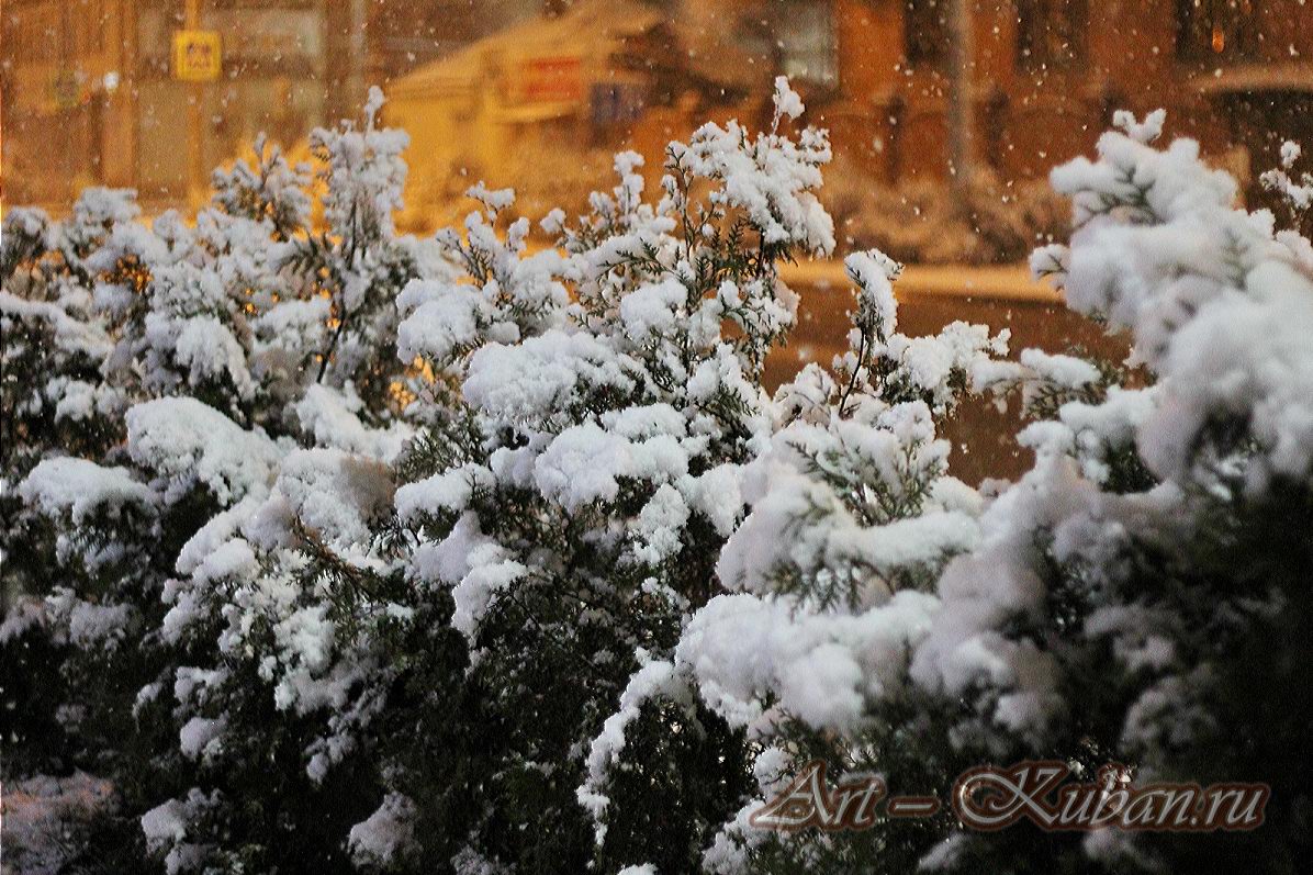 ������� �����. ����, ���� 2020-2021 �. ���������.
���� � 1. ������� 2020 �. 