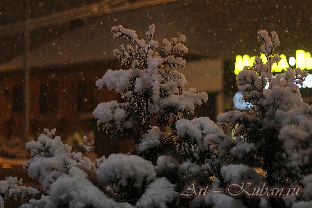 ������� �����. ����, ���� 2020-2021 �. ���������.
���� � 2. ������� 2020 �. 