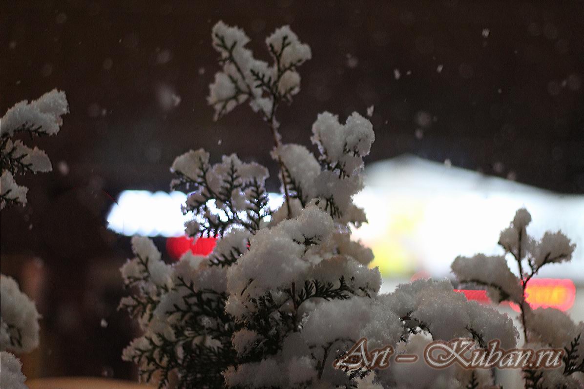 ������� �����. ����, ���� 2020-2021 �. ���������.
���� � 3. ������� 2020 �. 